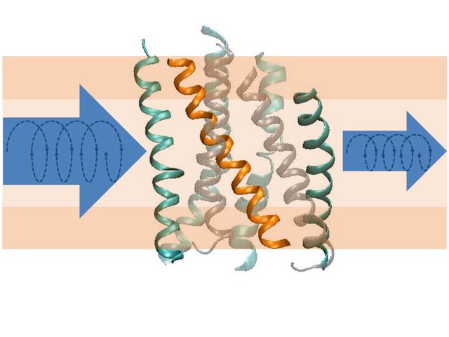 Structural Dynamics of Biomolecules